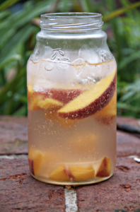 Peach Ginger Gin and Tonic