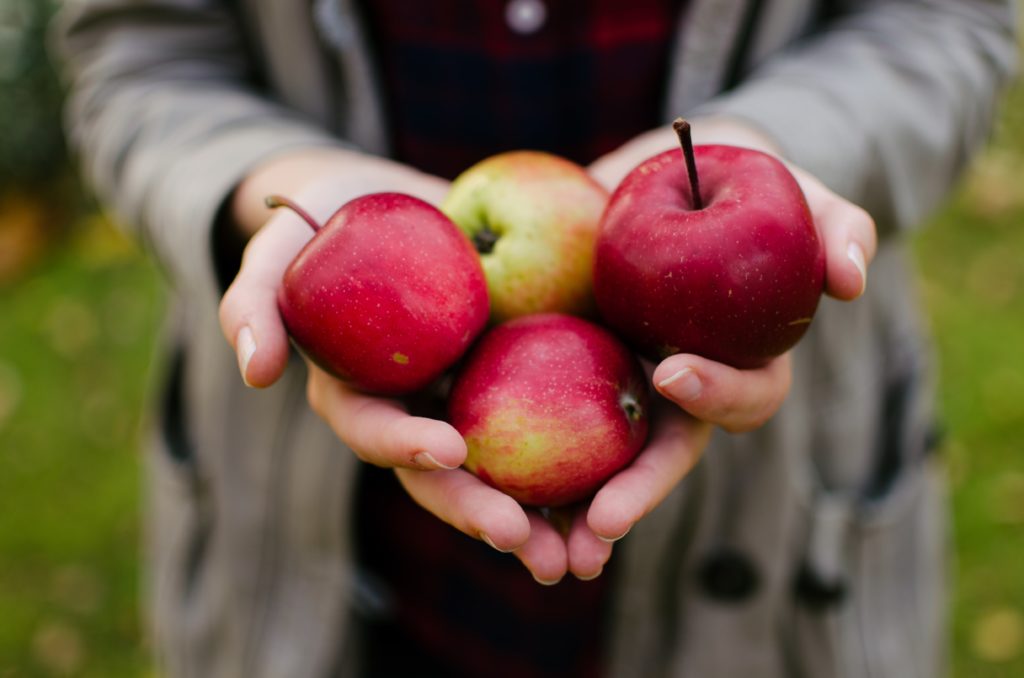 How to eat seasonally in fall