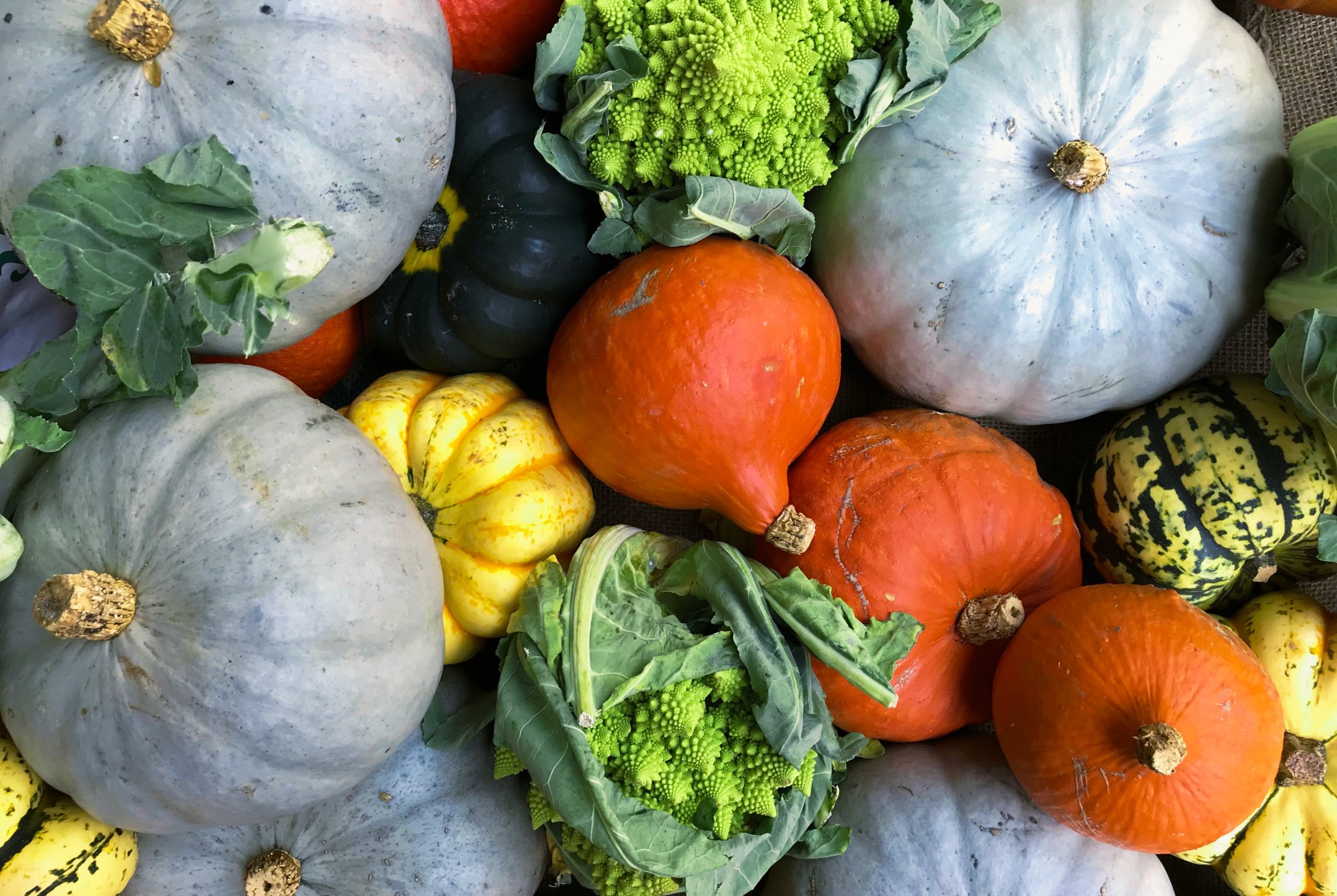 How to eat seasonally for fall